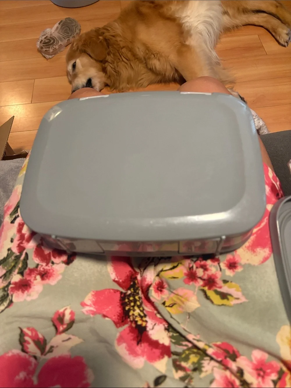 Benego Light grey lunch box